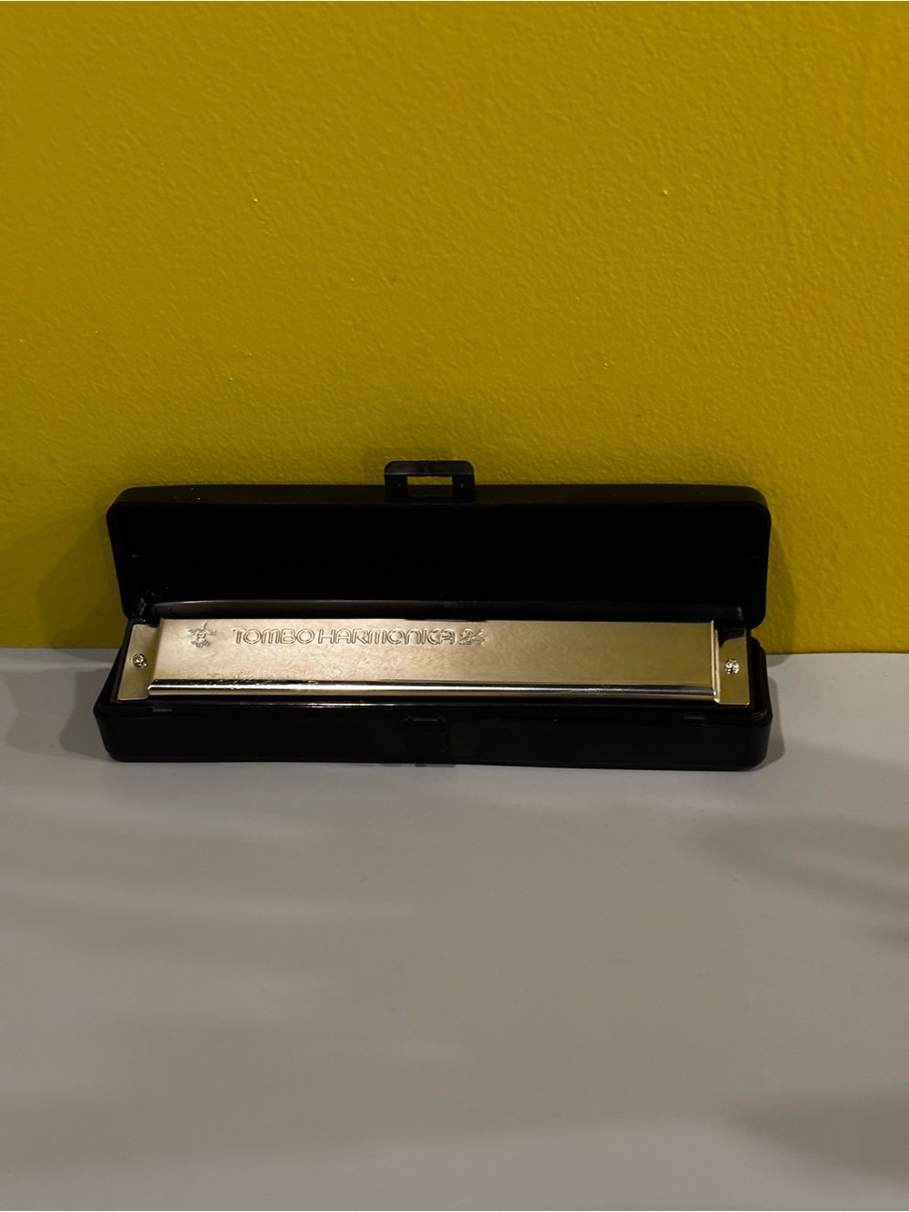 Gold-Tone Harmonica with Black Protective Case - Unbranded
